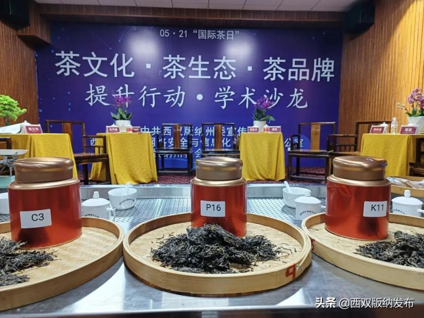评茶论道 | 共谋勐海茶产业新发展